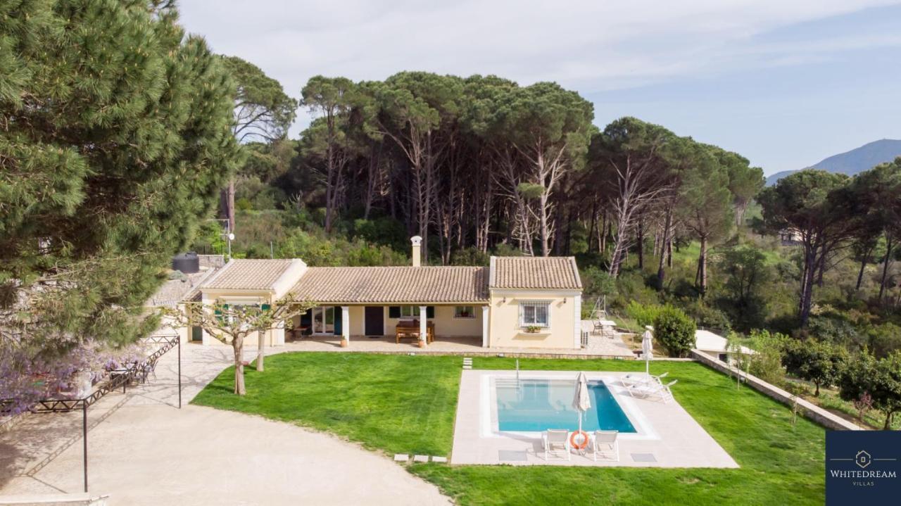 Villa Pine Forest Kompitsion Екстер'єр фото