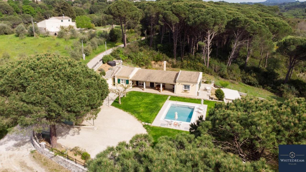 Villa Pine Forest Kompitsion Екстер'єр фото