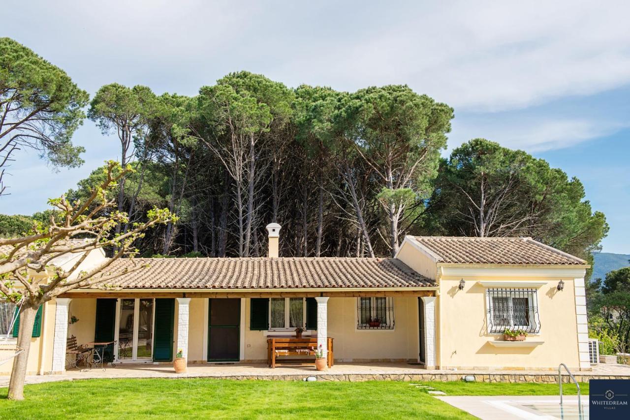 Villa Pine Forest Kompitsion Екстер'єр фото